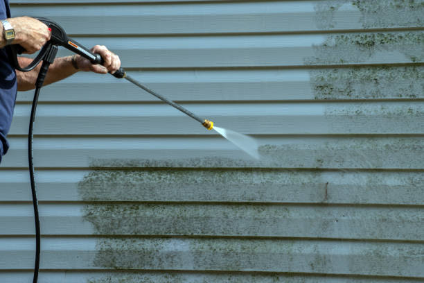 Best House Pressure Washing  in Fairmount, TN